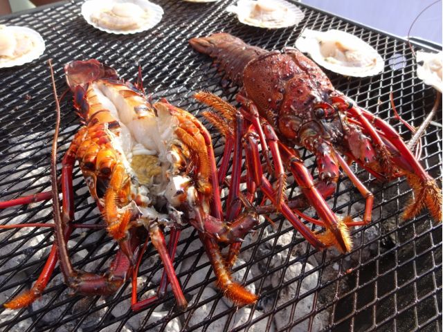 追加メニューには大人気の伊勢海老も♪是非ご賞味ください!