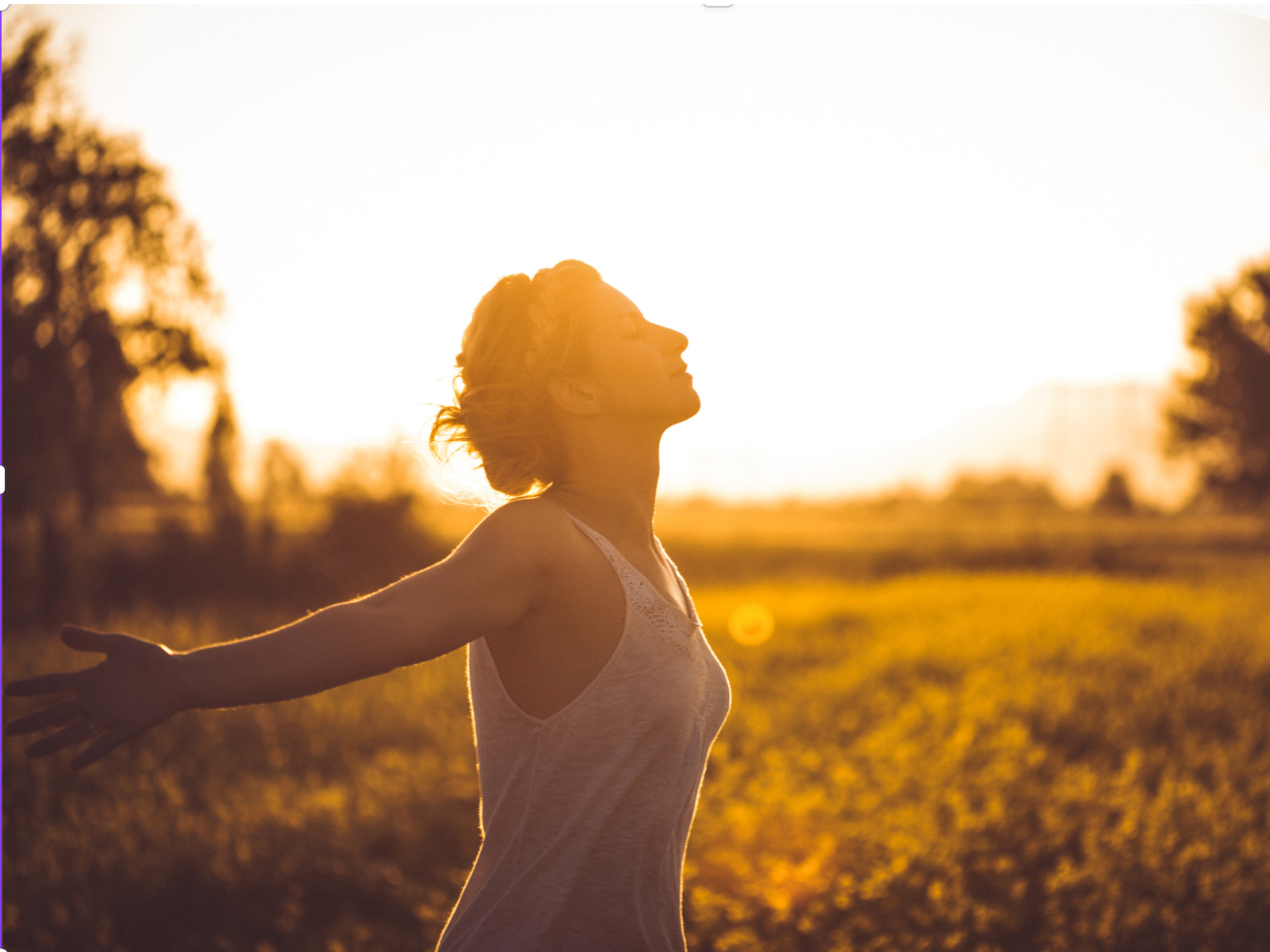 邢́AX̒Ő[ċz邩̂悤ȍIԂƂ\łBȂKvȍAƕ@͚kĂ܂B