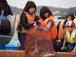 地域共通クーポン対象 カニ アナゴ 魚等を収穫 宮城 奥松島 みんなでわくわく漁業体験プラン お休み処かみの家 じゃらん遊び体験 地域共通クーポン対象 カニ アナゴ 魚等を収穫 宮城 奥松島 みんなでわくわく漁業体験プラン お休み処かみの家 じゃらん遊び体験