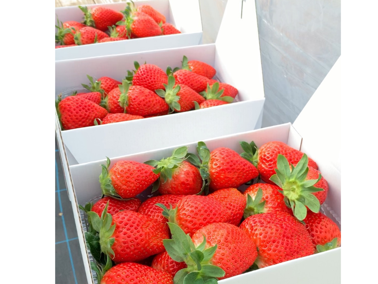 ご自宅へのお土産や贈答用にもぴったりです♪(※お持ち帰りは別途料金)