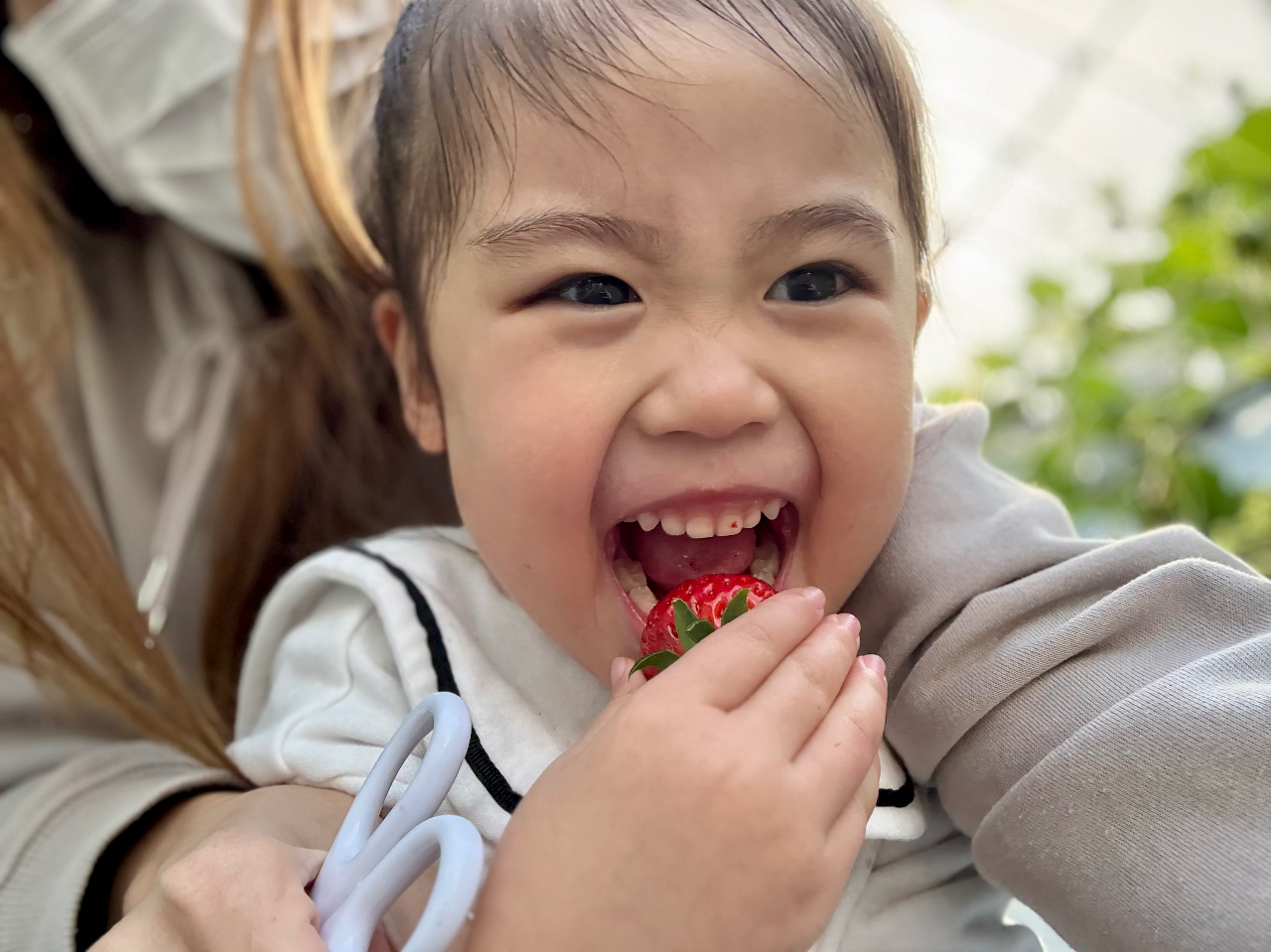 ܂܂5i͔|􂺂АHהׂĂ݂Ă(ɂi̐ނقȂꍇ܂j