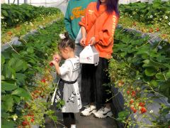 大切な家族、お友達へのお土産もどうぞ!