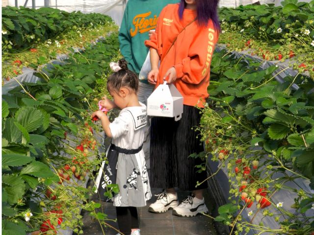 大切な家族、お友達へのお土産もどうぞ!