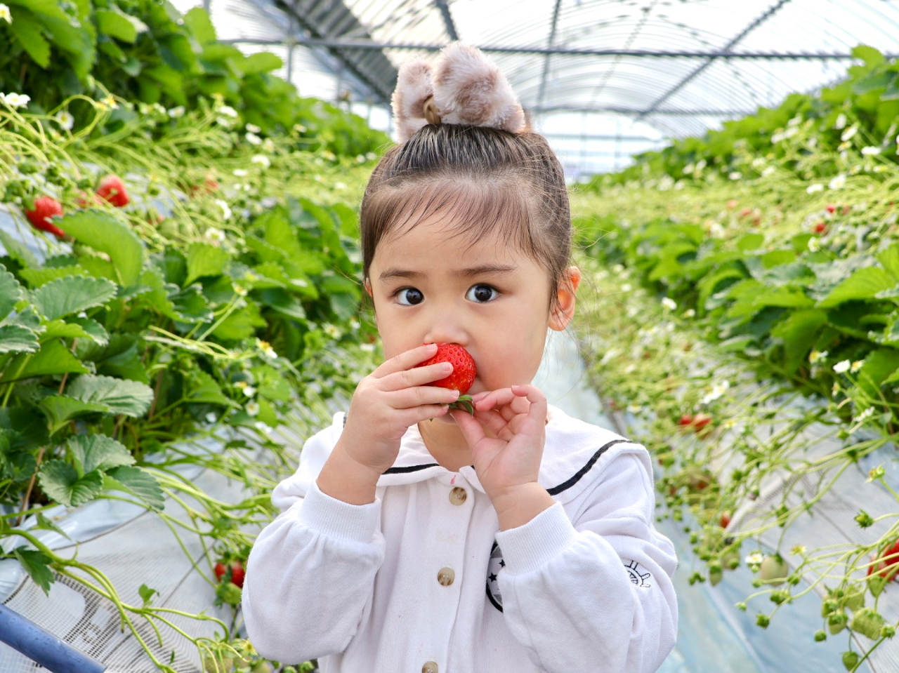 ���������������������񂠂���