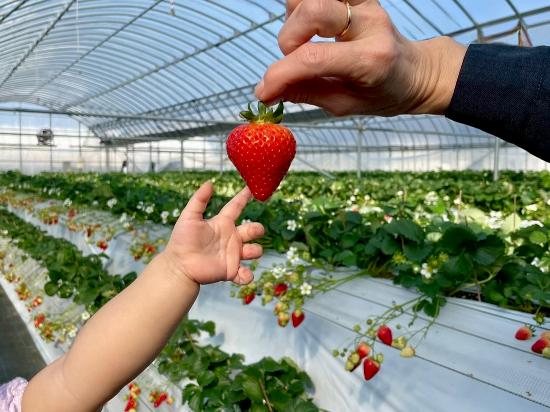 ��؂ȉƑ��A���F�B�ւ̂��y�Y���ǂ����I