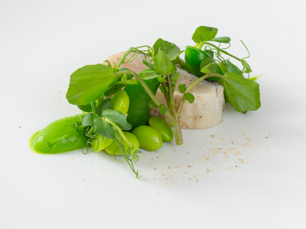 �{�ÎY�T�������t��ƃv�e�B�|���̃N�[���[ �g�����t�̍���