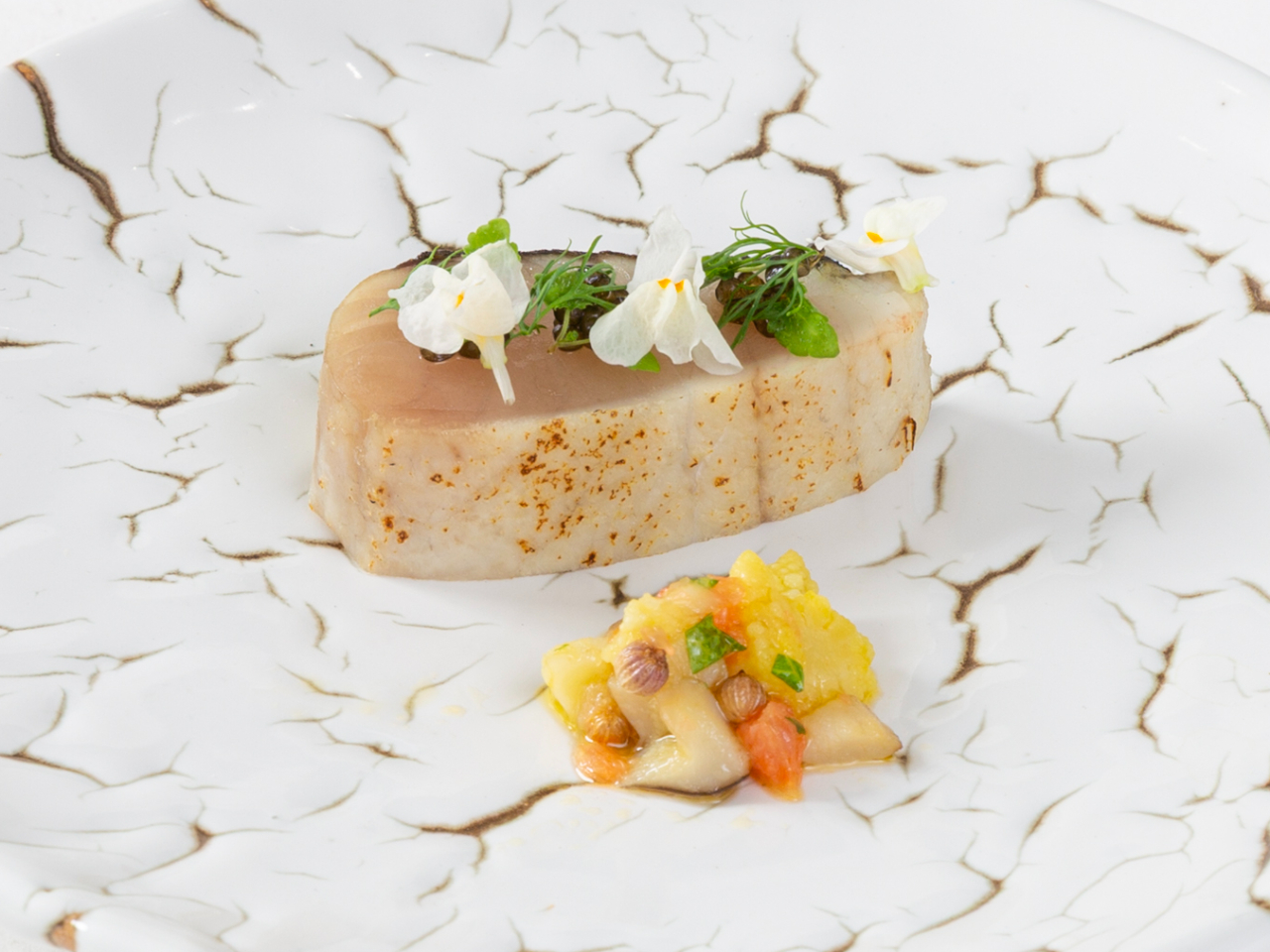 �{�ÎY�T�������t��ƃL���r�A ���k�̃\�[�X