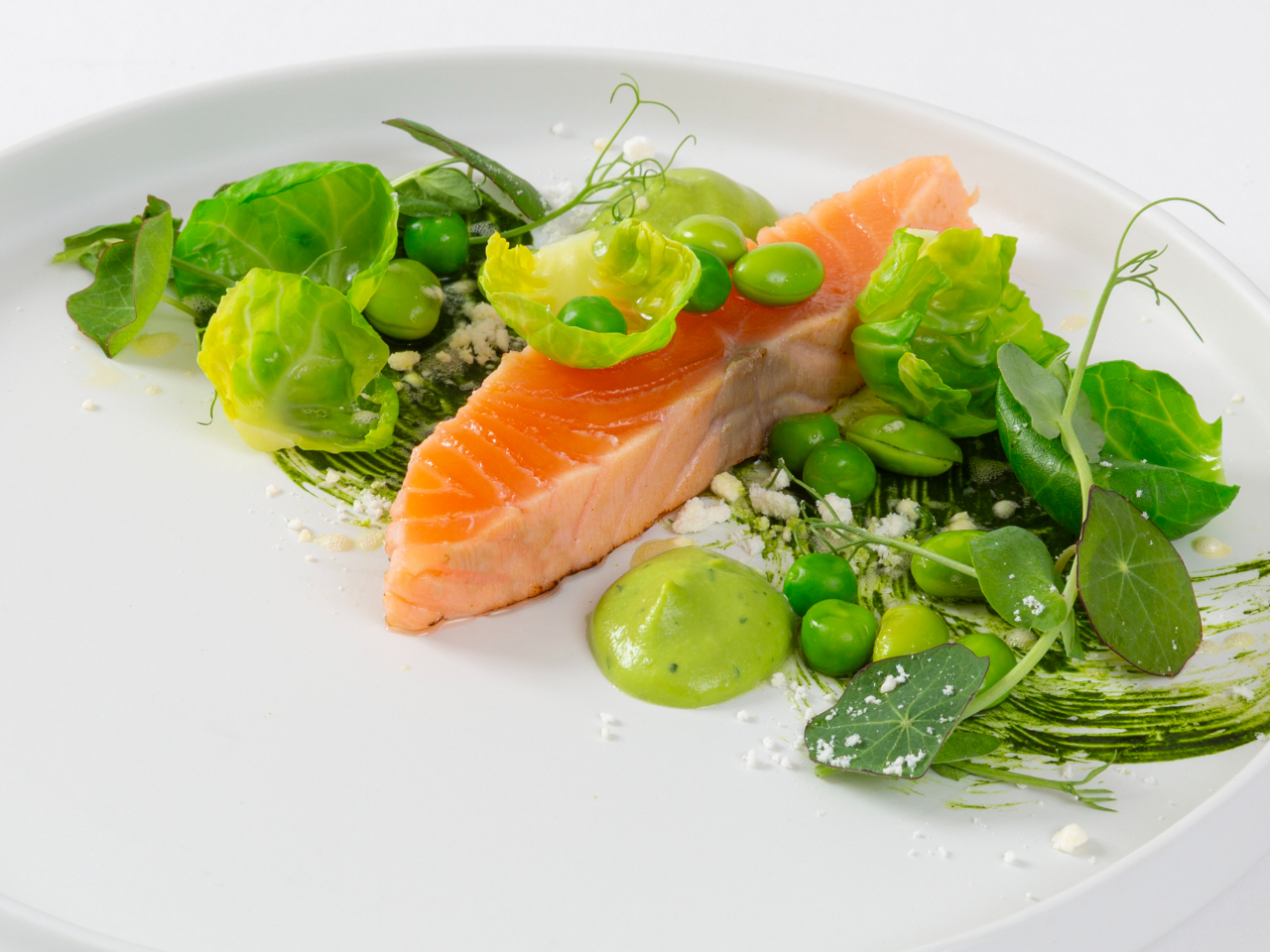 �t��T�[�����Ɩ؂̉�ƃO���[���s�[�X�̃u���[�e �t�̓��\�[�X