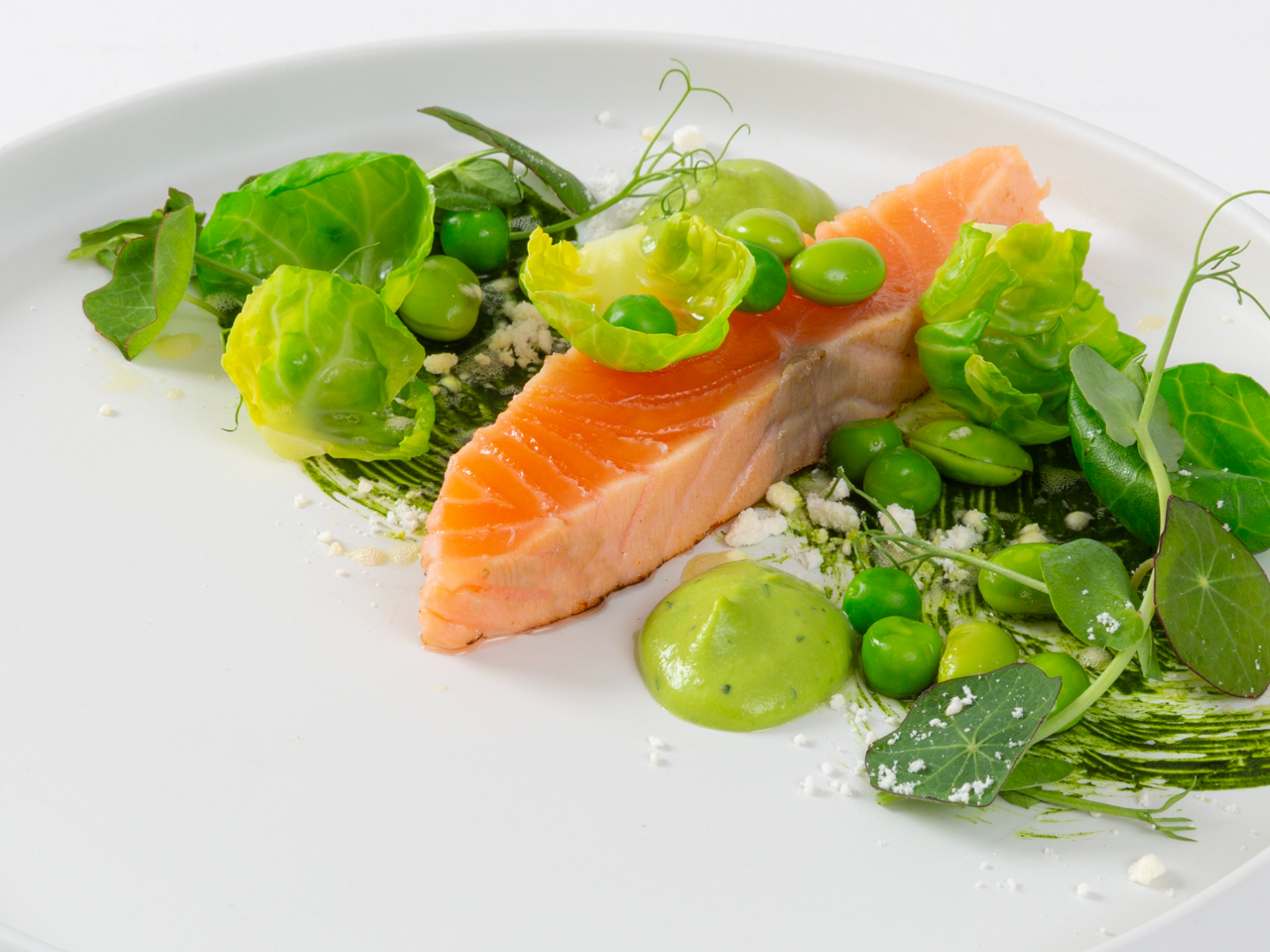 �t��T�[�����Ɩ؂̉�ƃO���[���s�[�X�̃u���[�e �t�̓��\�[�X