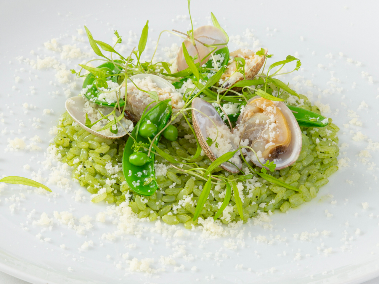 �󗘂Ɩ����̃��]�b�g