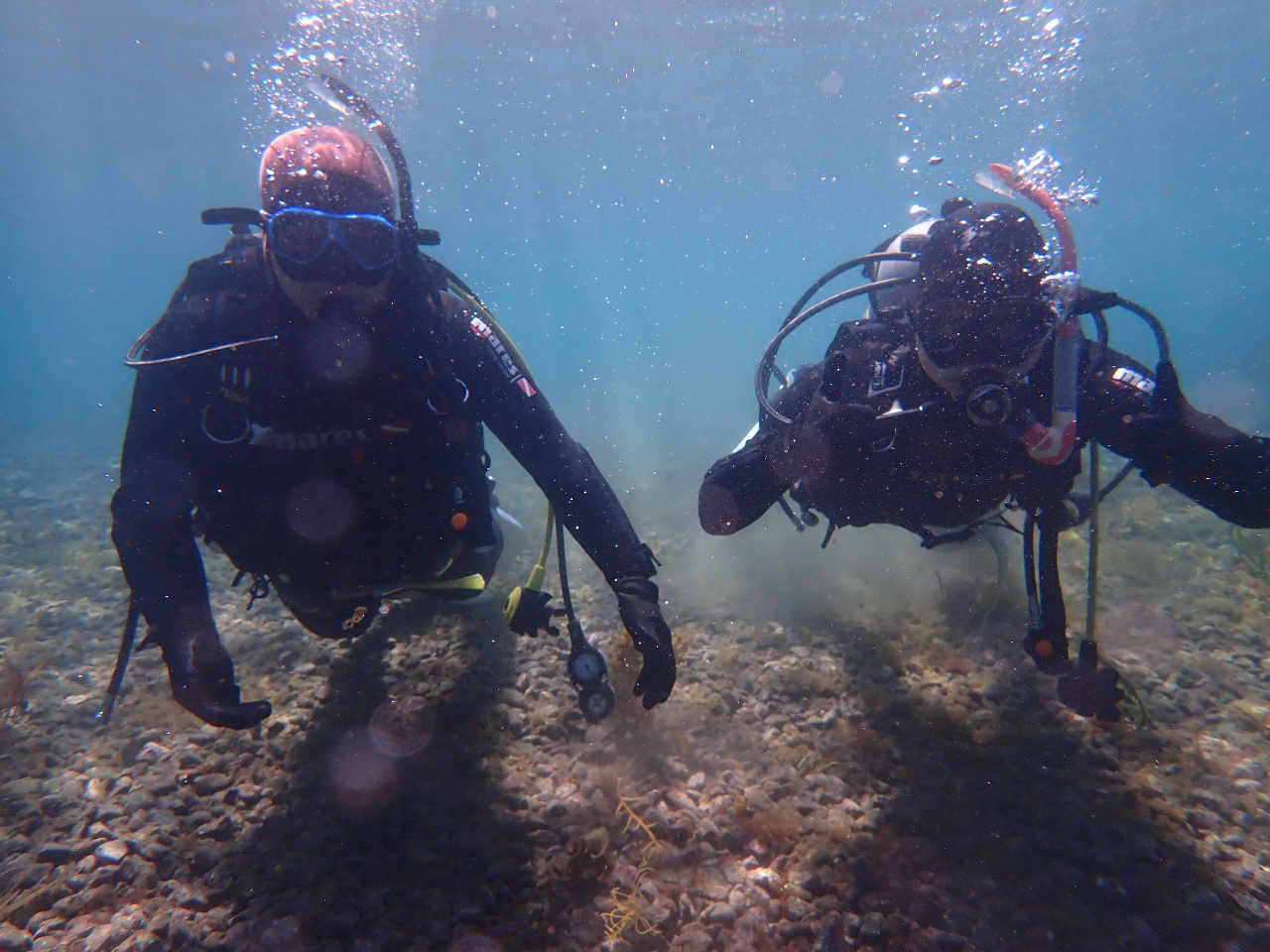 大瀬崎 体験ダイビング 始めての方でも参加できます。ニモの仲間 くま