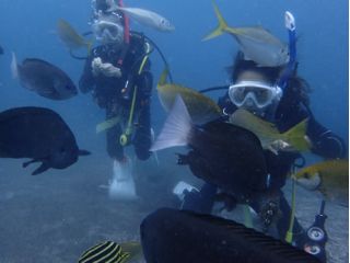 大瀬崎の海の様子