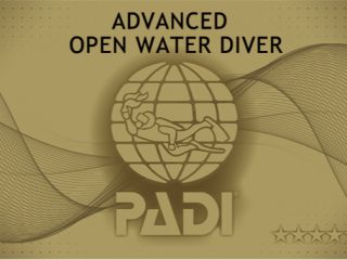 楽しみながら ダイビング