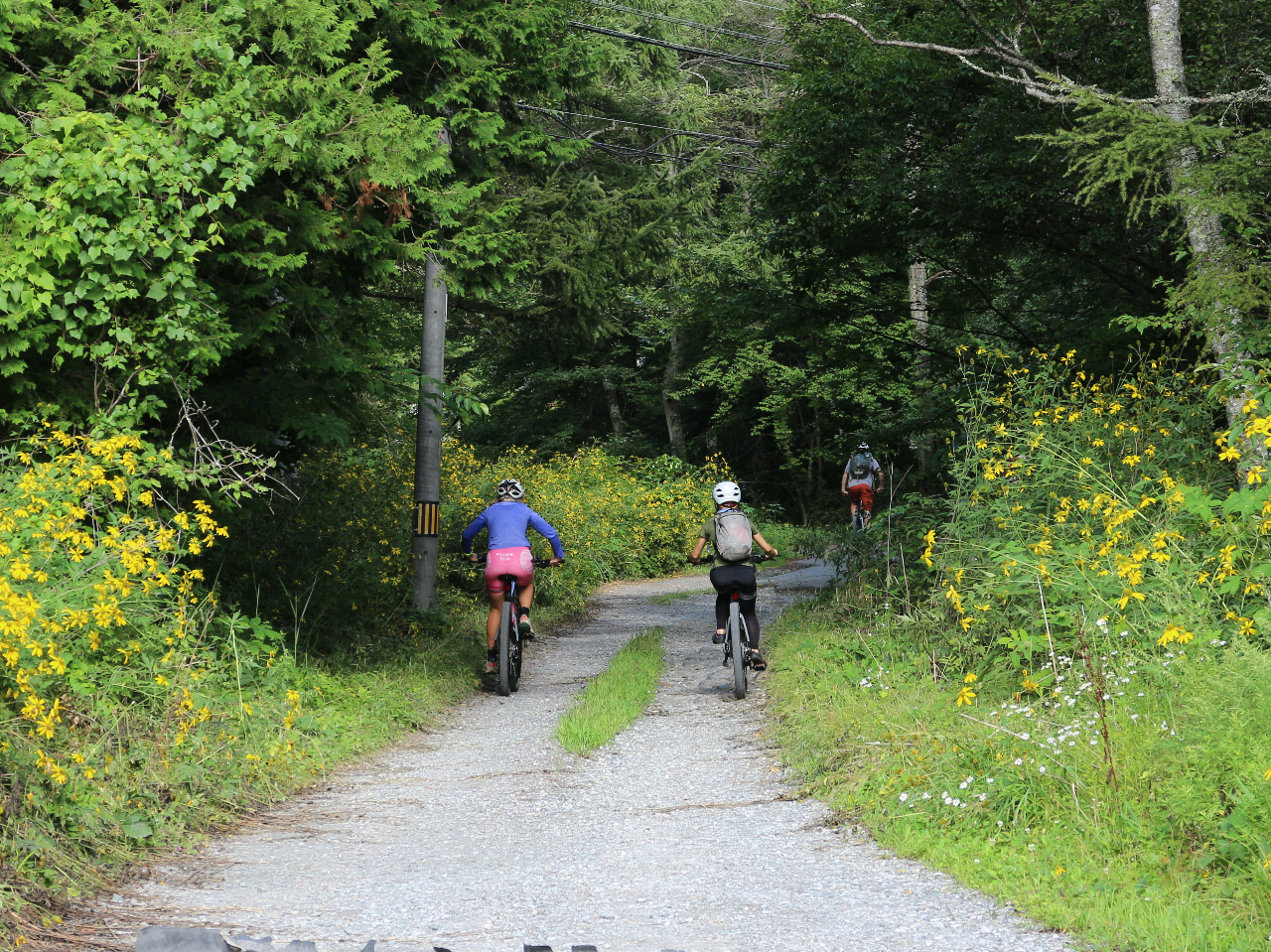 ȓptMTB^CvE-BIKEŊyI