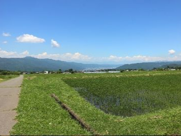 ciƎRXBVCɌb܂΁AxAkAvXAAvXׂĂnIiʐ^͌]ޖkAvXʁj