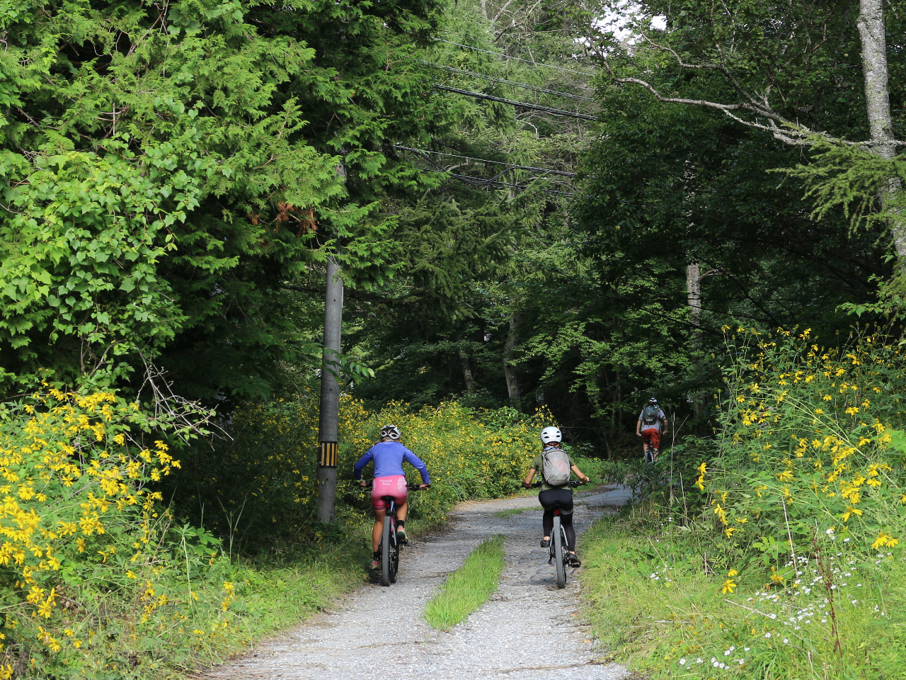 豊かな自然と美しい自然。八ヶ岳山麓をE-BIKEで爽快に走ろう!