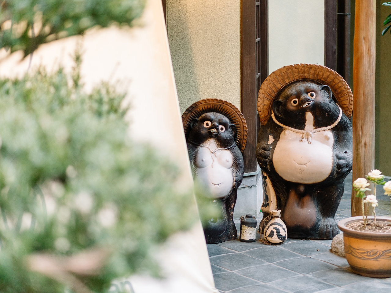 可愛らしいタヌキの親子がお出迎え