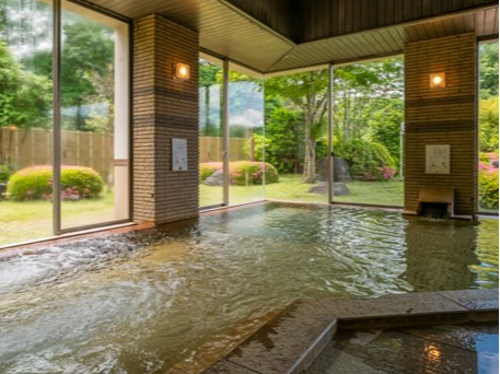 ���V�����h�͂Ȃ�̎ʐ^4