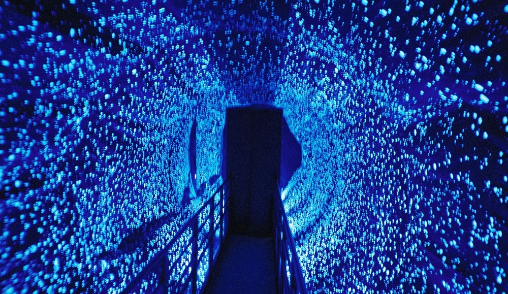 mgbNz[nsvcȍoԂŁAN͕toۂĂ邩H