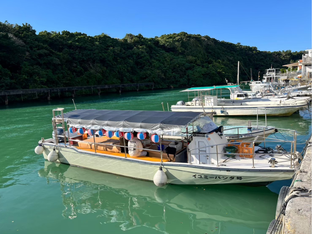 ���ۂɂ���D���������D�͉���Łu���`�D�v�̂�����ł��I