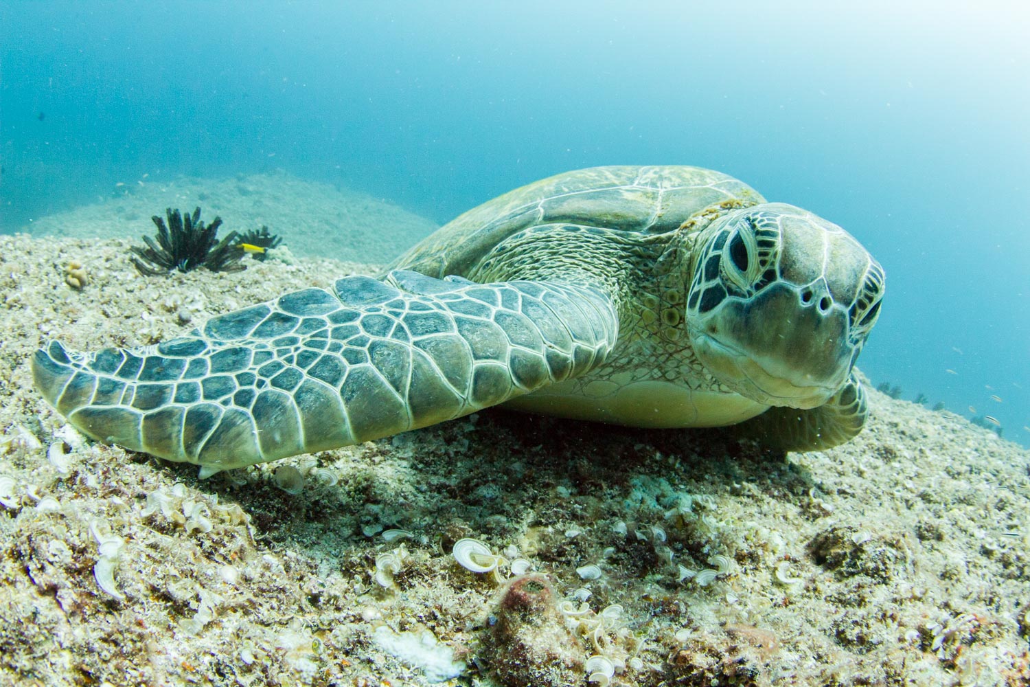 E~Kɂ邩?!@ꏏɒTɍs܂傤I