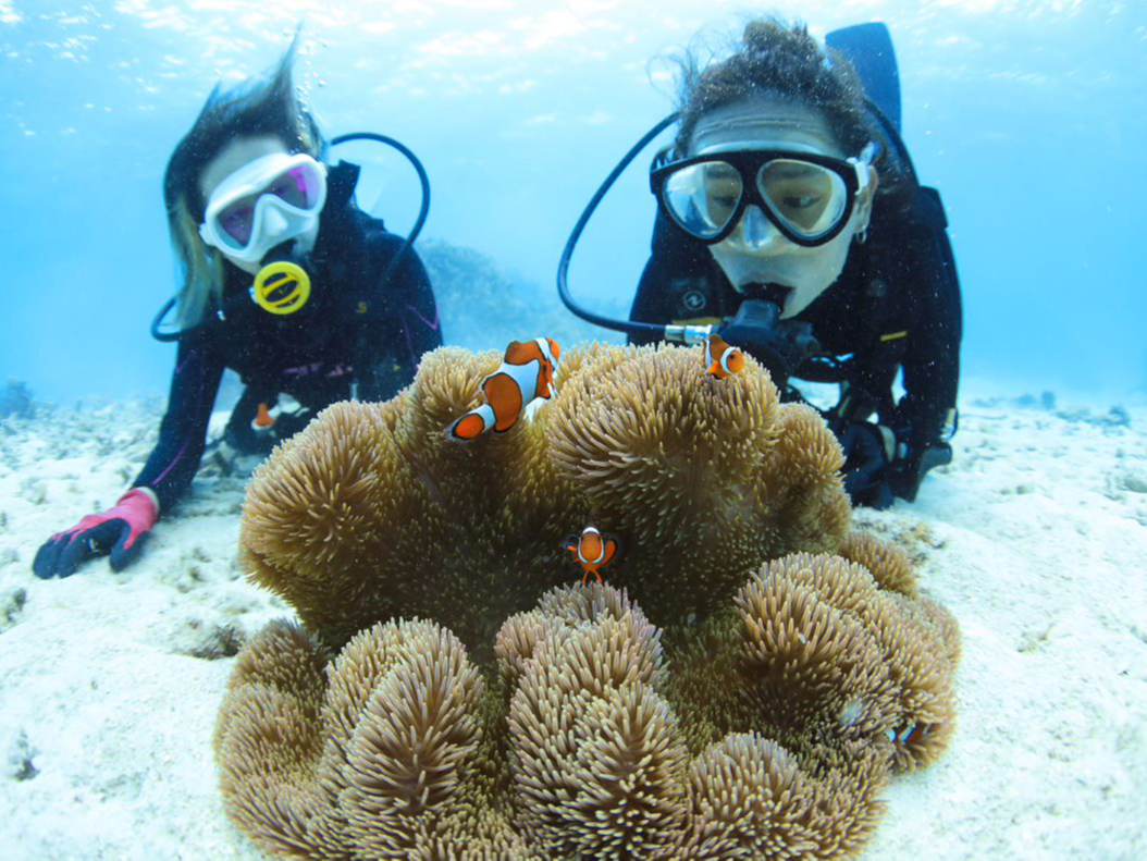 こんなに近くで見れちゃう!!