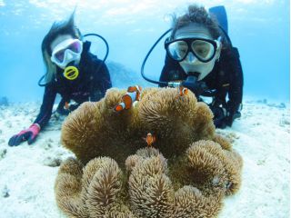 こんなに近くで見れちゃう!!