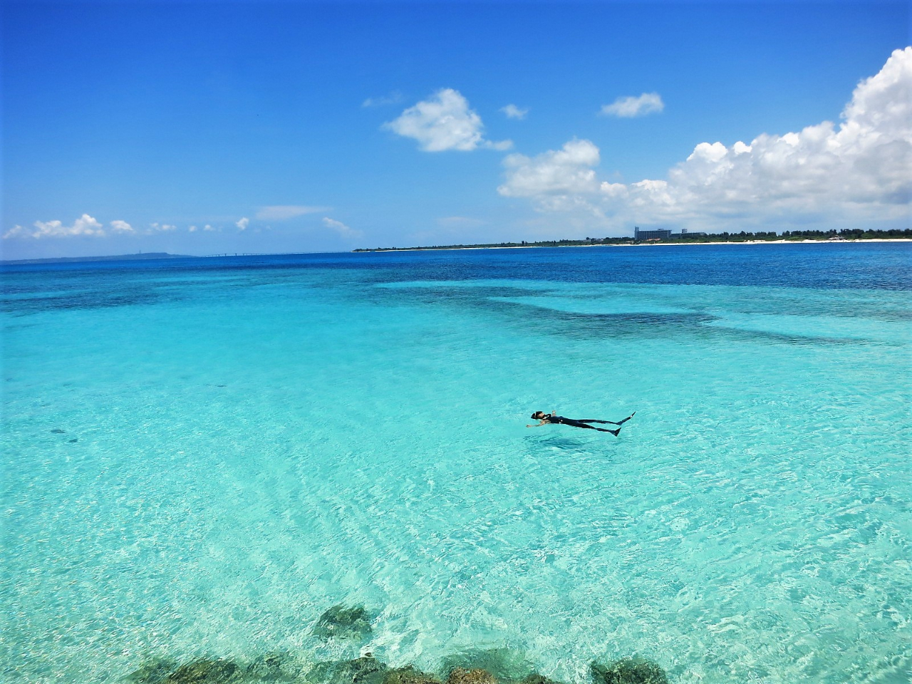 xeɎv킸STAFFэ񂶂Ⴄ{Ó̃r[`I