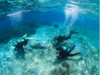 離島宮古島は抜群の透明度!クリアな水中世界をお楽しみ下さい