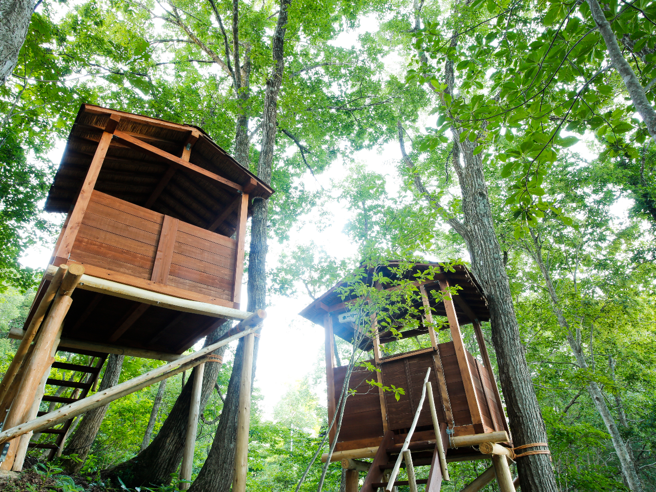 厩R𖞋iłc[nEXł̃o[xL[