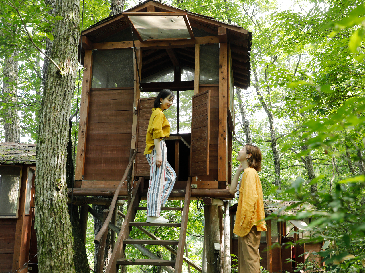 入口は緩やかな階段です。