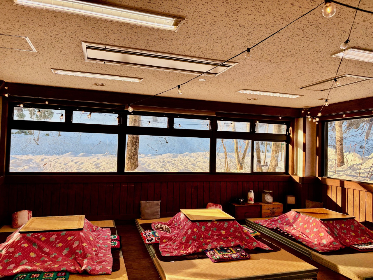 ���������������ł����Ă��o���܂��B