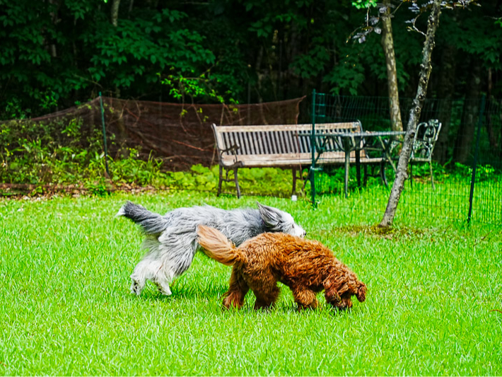 �����ł̃h�b�N�����͋C�����������ł���B