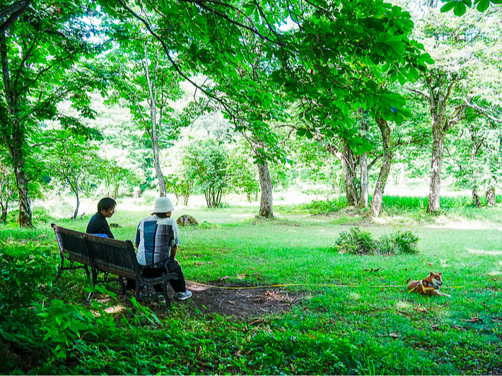 ������񃊁[�h�t���ĎU�����ł��܂�