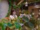 館内には植物がたくさん!緑に囲まれてまったり