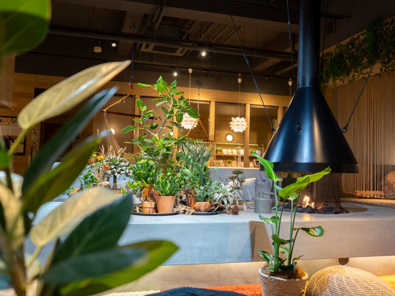 ΂Ɉ͂܂ꂽٓł胊bNX