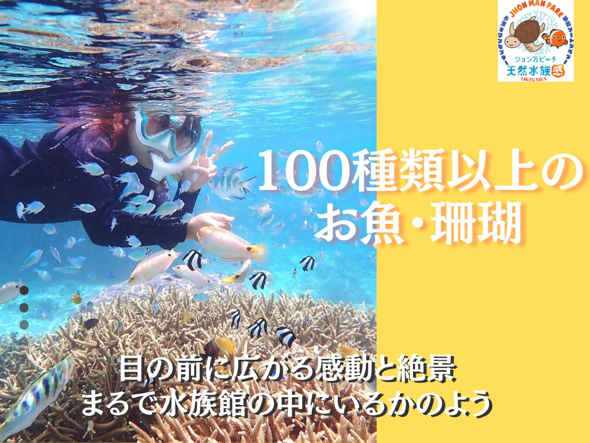 100種類以上の生物が生息し、目の前でお魚を観察!「天然水族感ですね」と良く言われます。