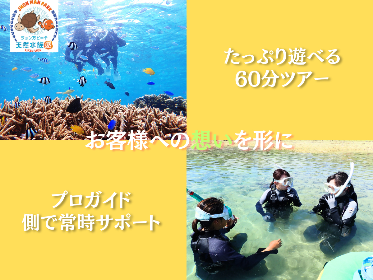 ՂVׂ60cA[EvKCh펞T|[g