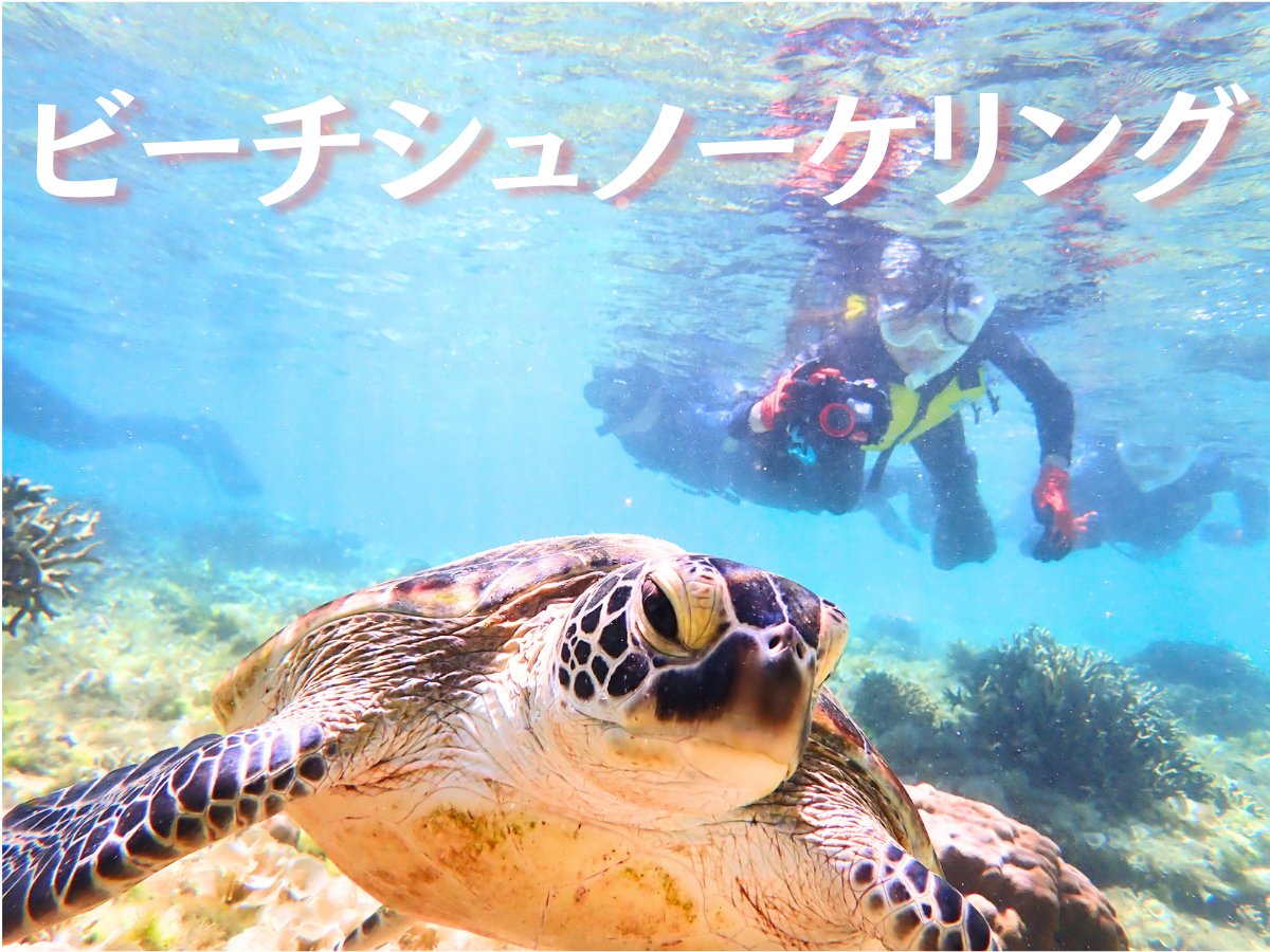 初心者大歓迎!船には乗らずビーチエントリー