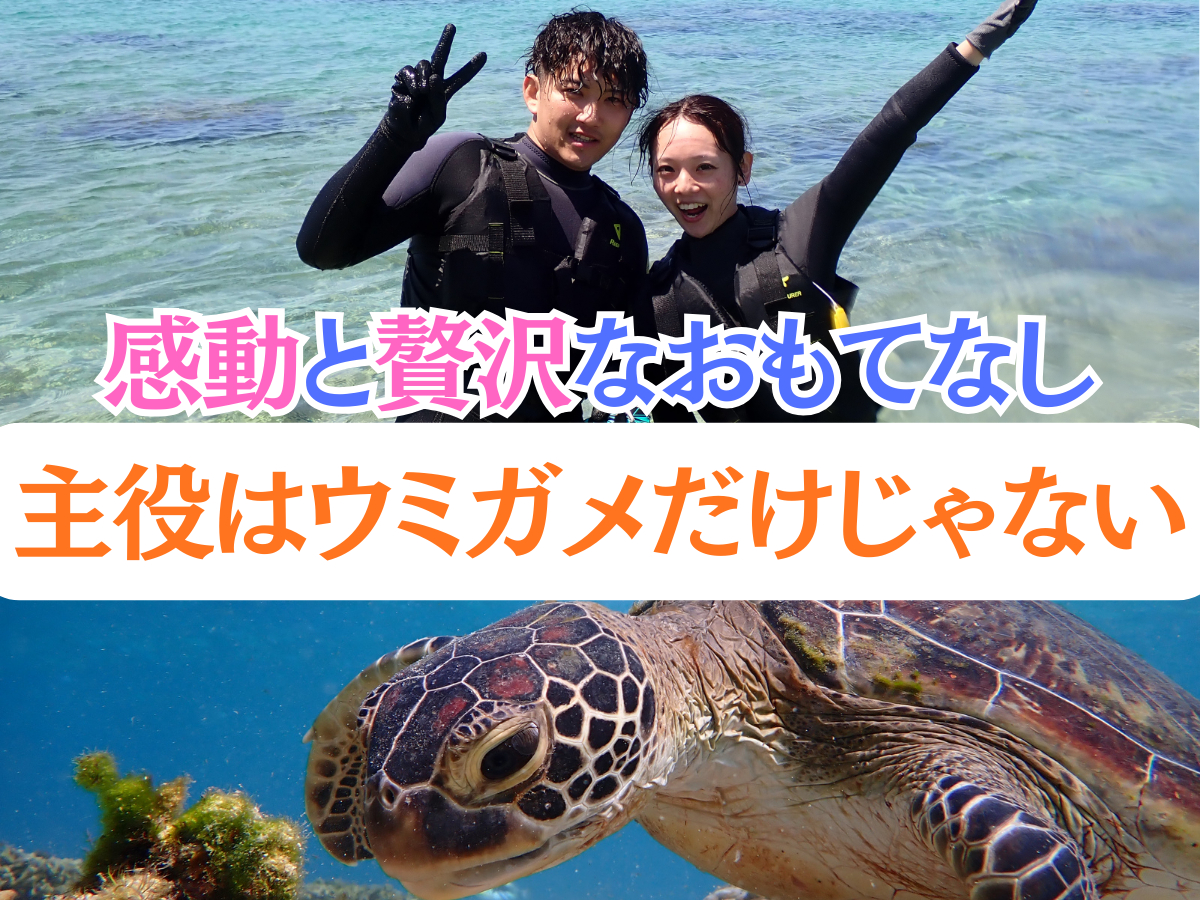 2΁`80ΎQ\IPgݐ؂̃vCx[gcA[ňSES