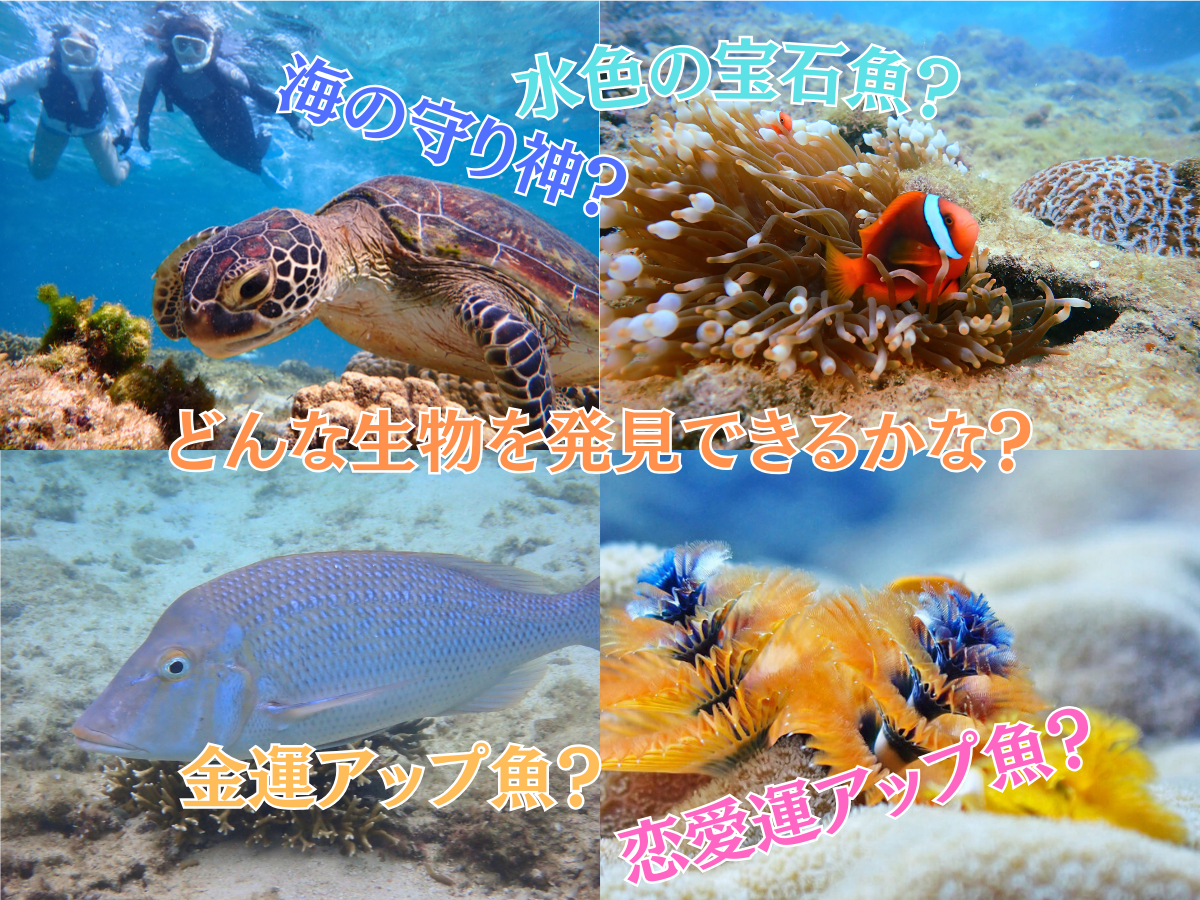 ���Ȃ��͂ǂ�Ȑ������������邩�ȁH