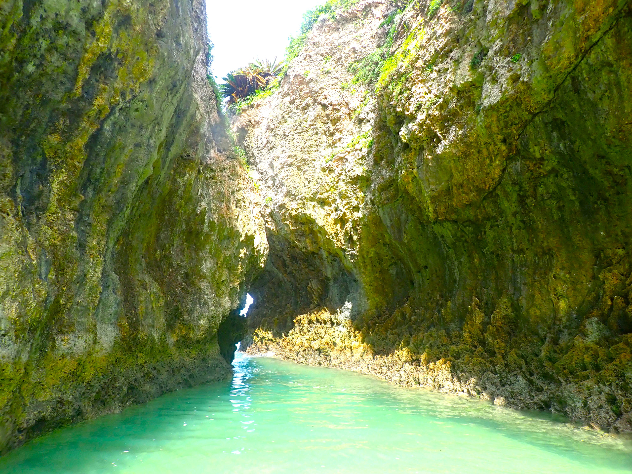 ���l�������\�����瓇�𔼎����ċA��܂���