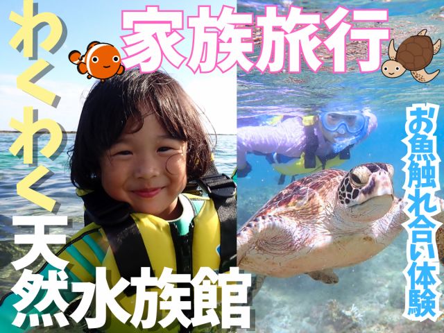 ★初心者お子様向け★天然水族館ツアー
