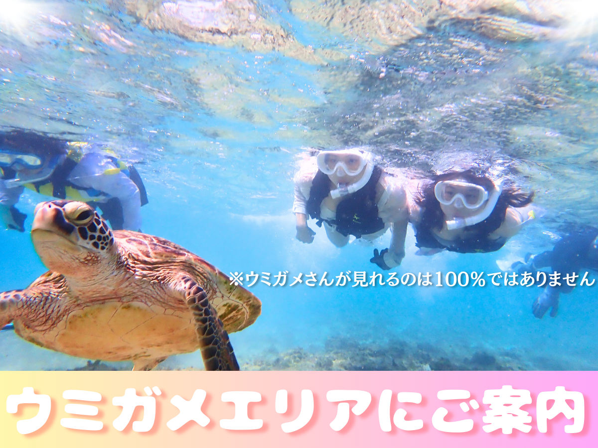 100ވȏ̐Aڂ̑Ołώ@IuVRłˁvƗǂ܂B