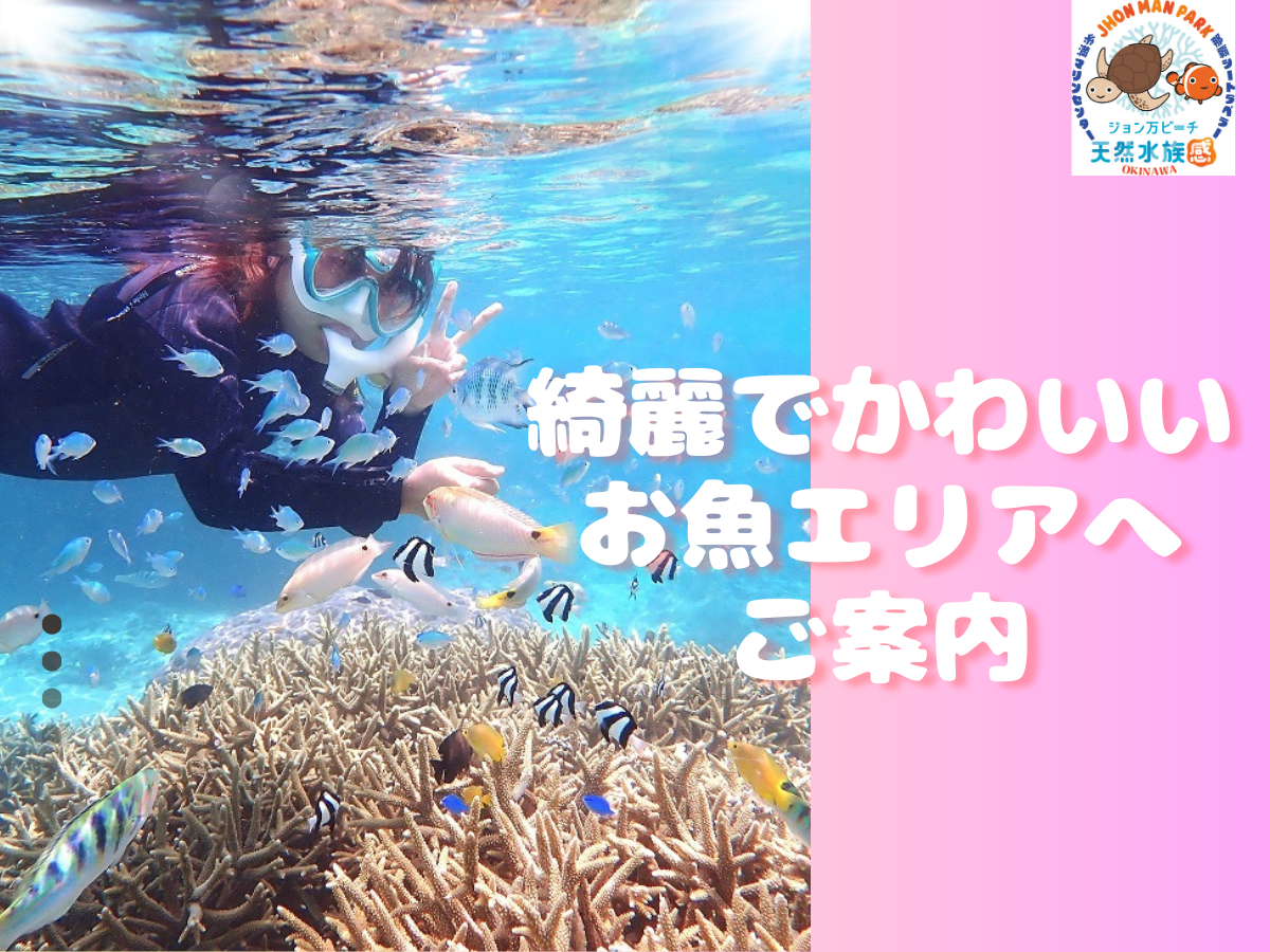 ft@CfBOjɓoꂷ邨ώ@I