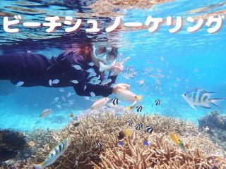 初心者大歓迎!船には乗らずビーチエントリー