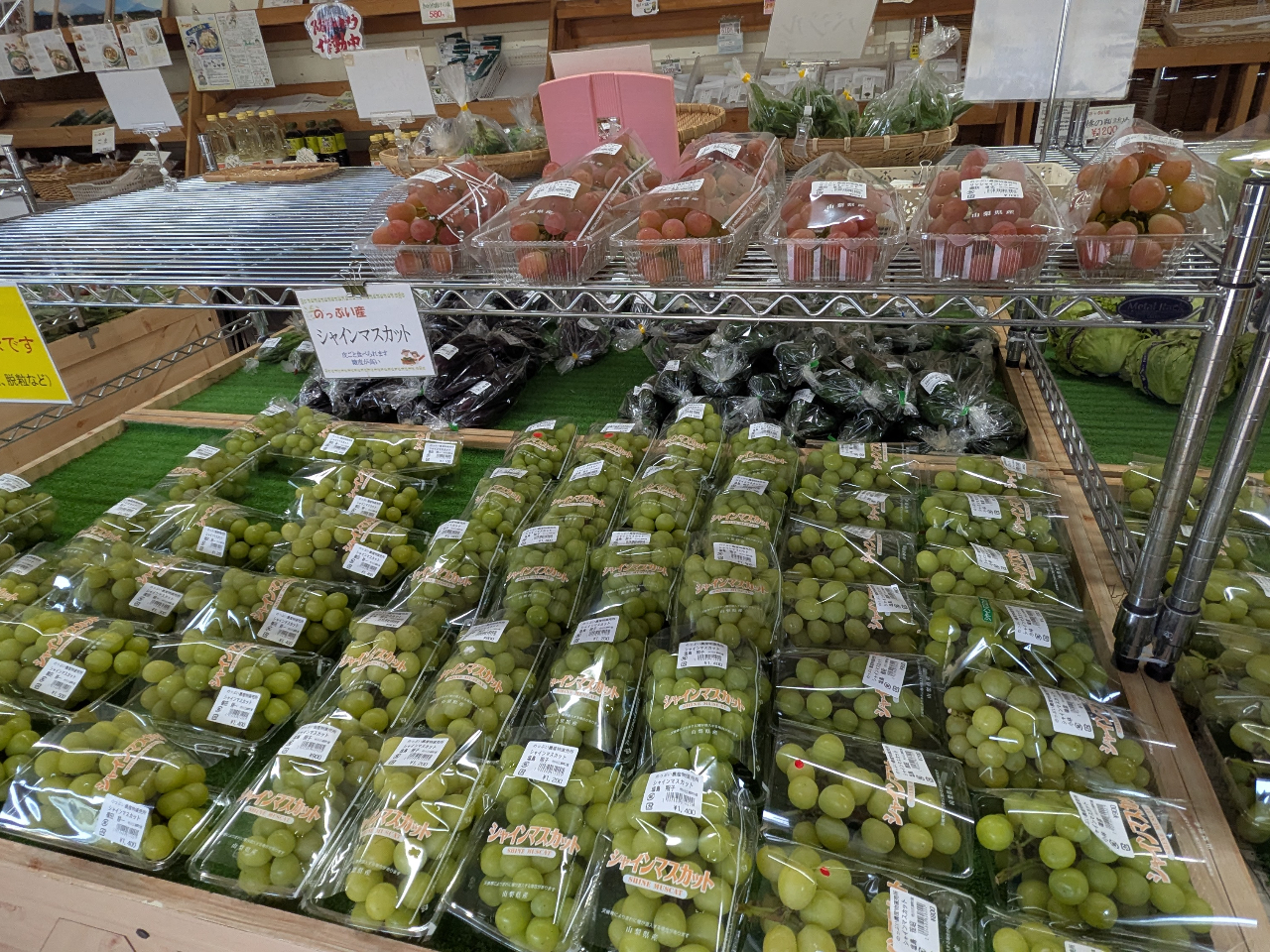 ł́A8{`10{܂ł̓uhEXɕт܂BVC}XJbgpӂĂ܂B