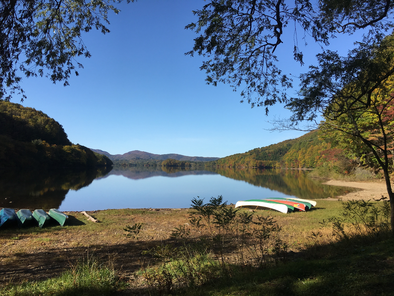 A calm and soothing space