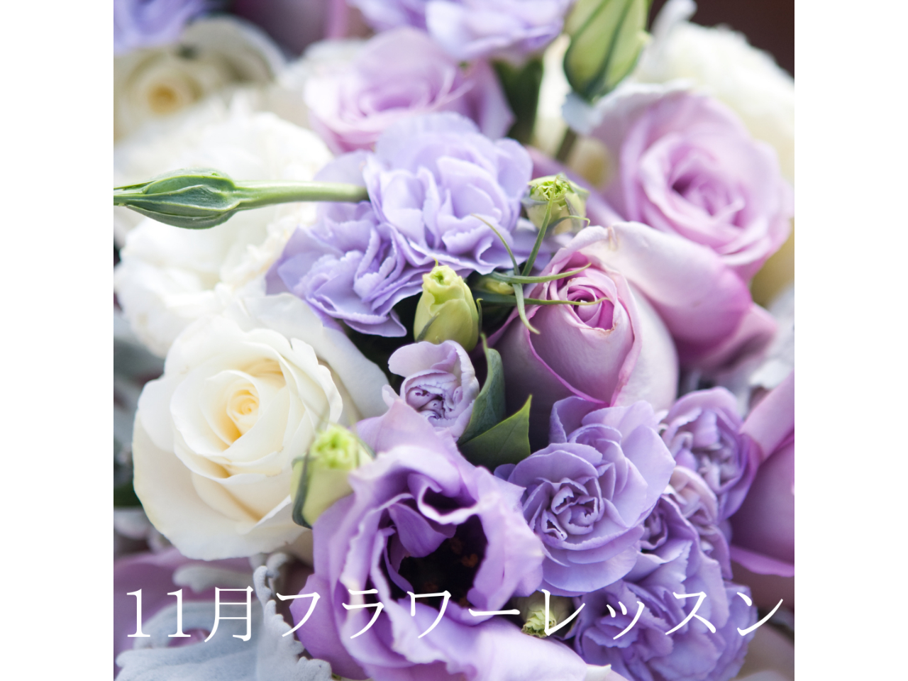 イメージ画像