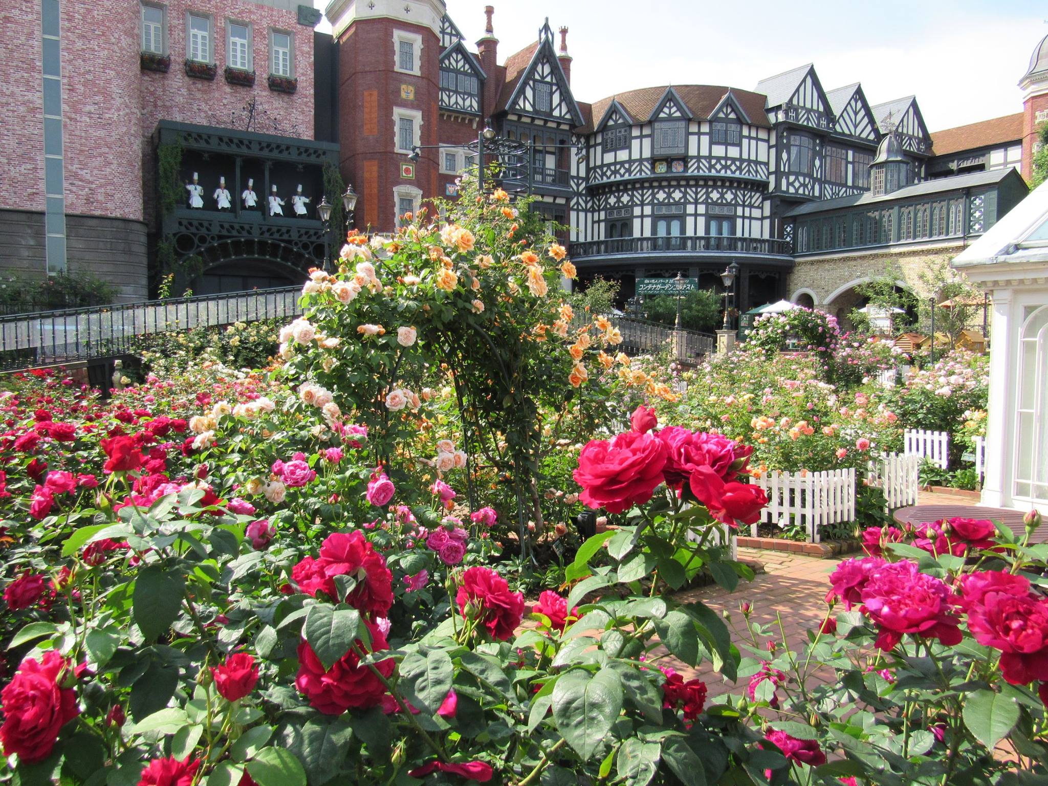 札幌市内(発着) ★「札幌市内のコース (6時間コース)」貸切ジャンボ&貸切スー...